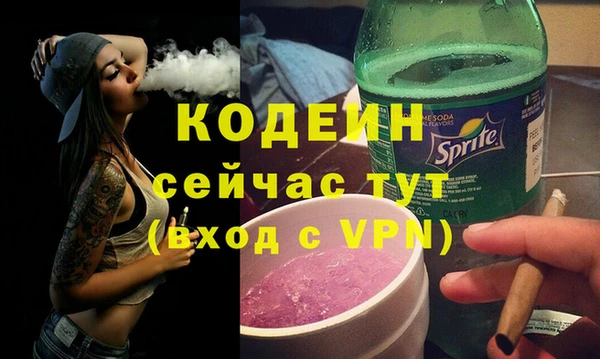 гашик Сясьстрой