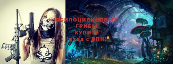 PSILOCYBIN Заволжье